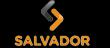 Salvador Seminovos